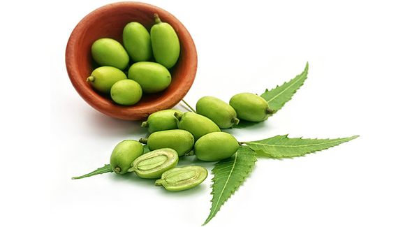 Amazing Benefits of Neem