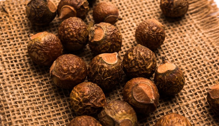 Reetha Powder for Hair Benefits Recipes and more The Henna Guys