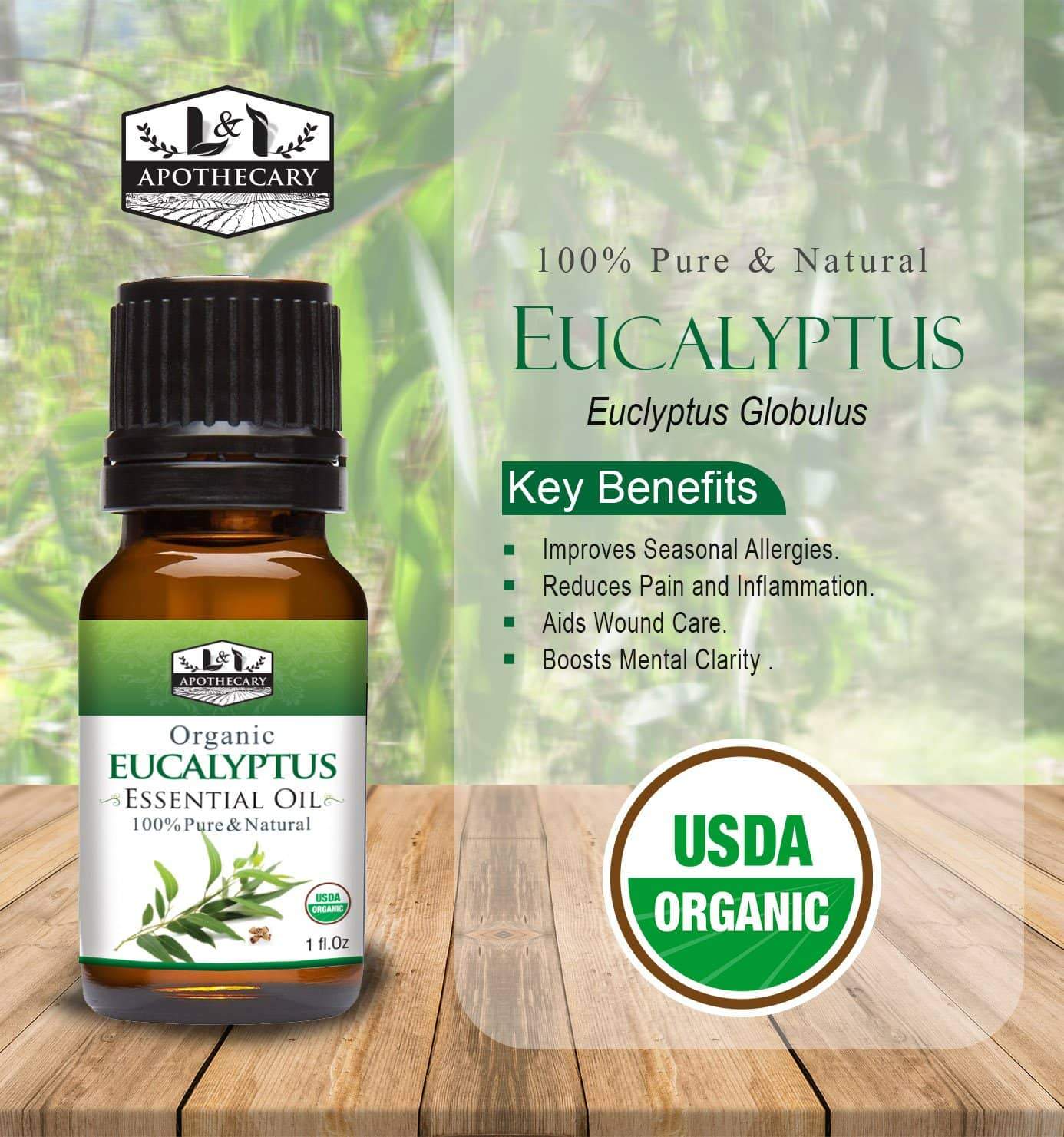 Organic Eucalyptus Essential Oil