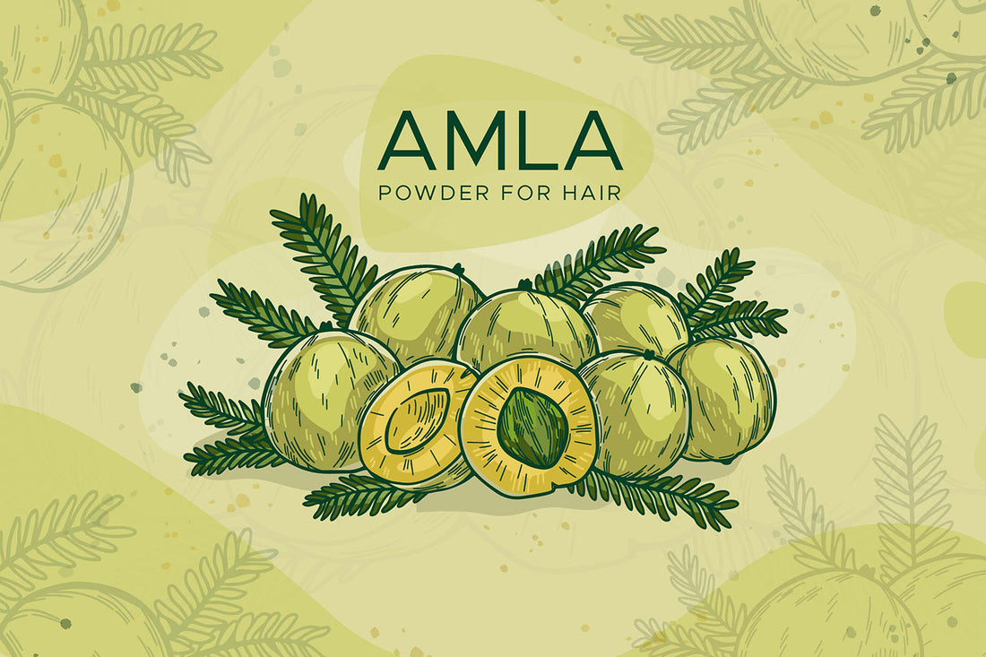Buy Amla - Indian Gooseberry - Phyllanthus Emblica - Attar Ayurveda