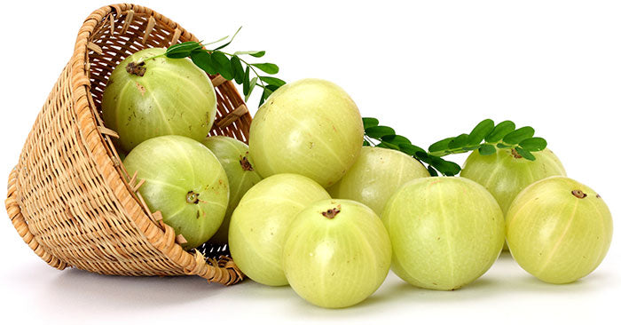 Amla Powder and How It Can Aid You In Many Different Ways