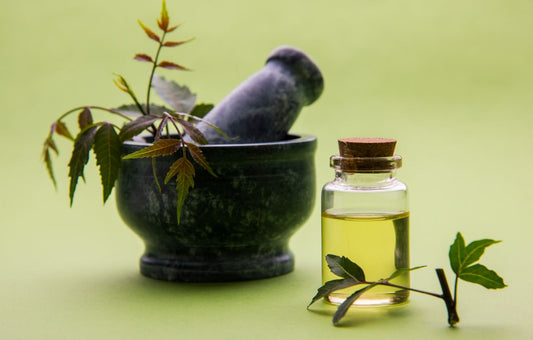 How to make Neem Oil for Hair Growth | Step by Step Guide