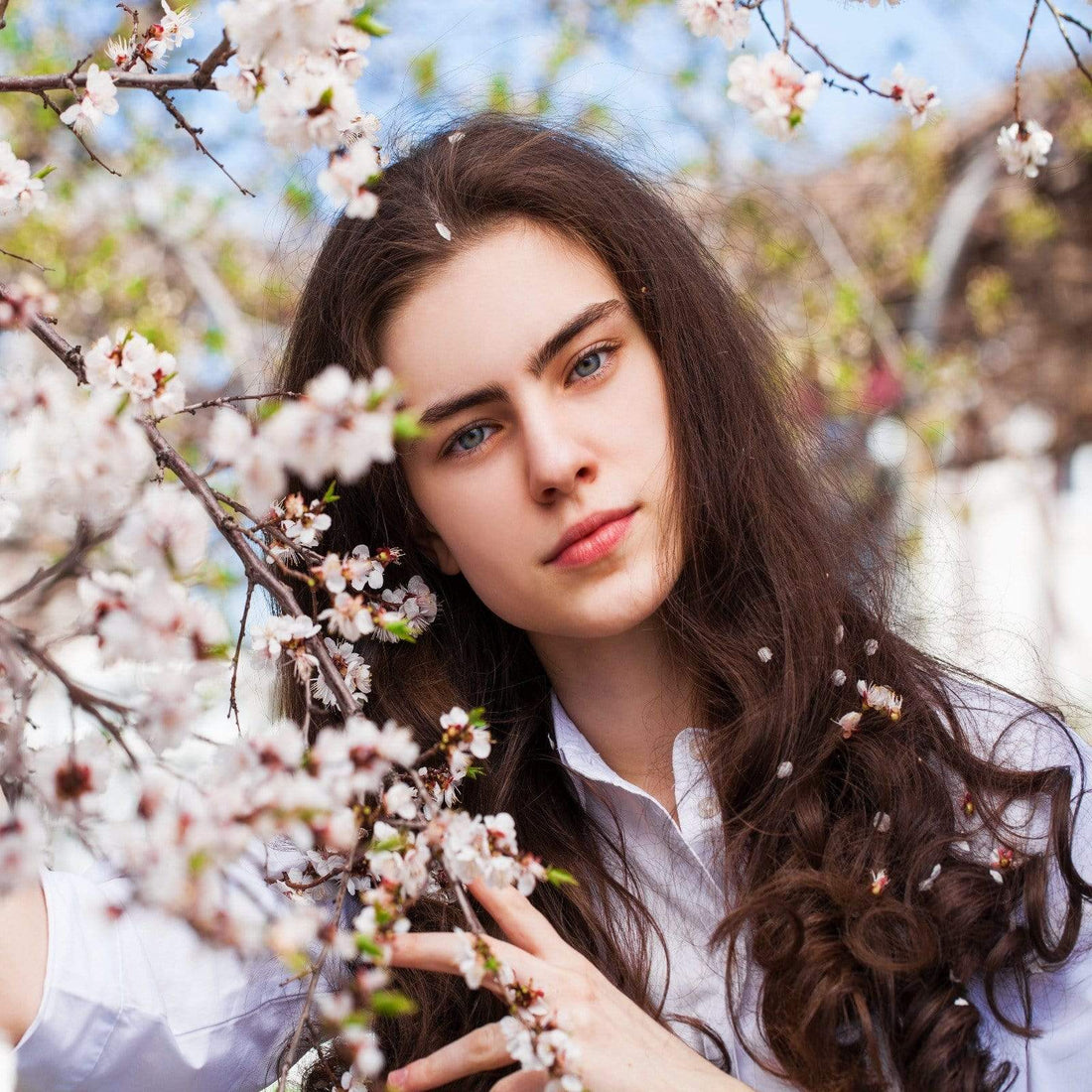 Dark Brown Henna Hair Dye l The Henna Guys® l Henna Hair Color