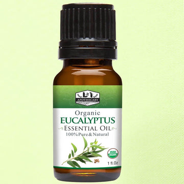 Organic Eucalyptus Essential Oil